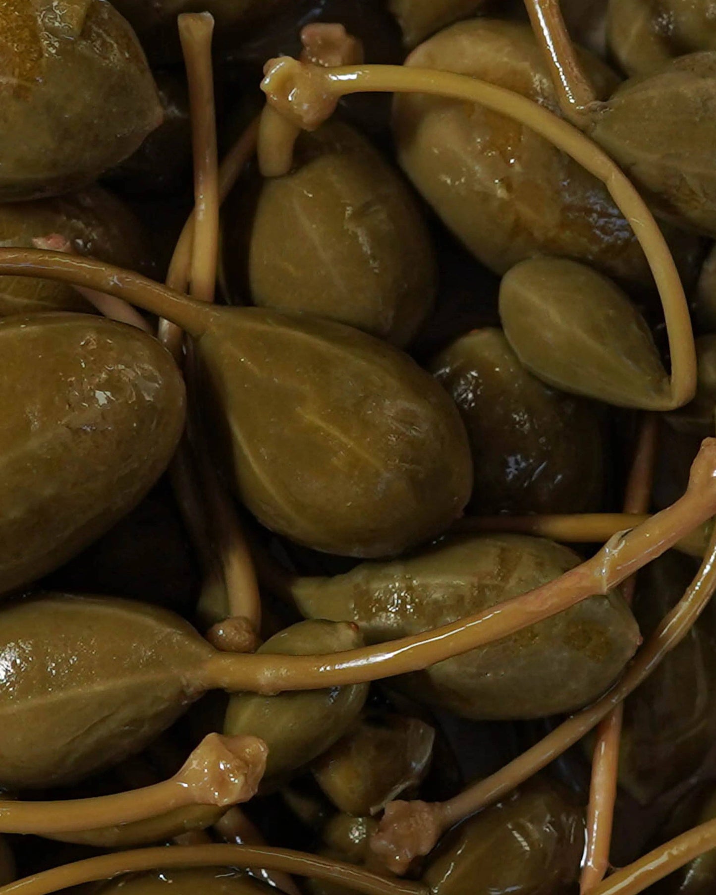 Kapern in Salzlake mit Stiel - Kapern in Salzlake (280g) - UBSBOT.eu - Fine things for you