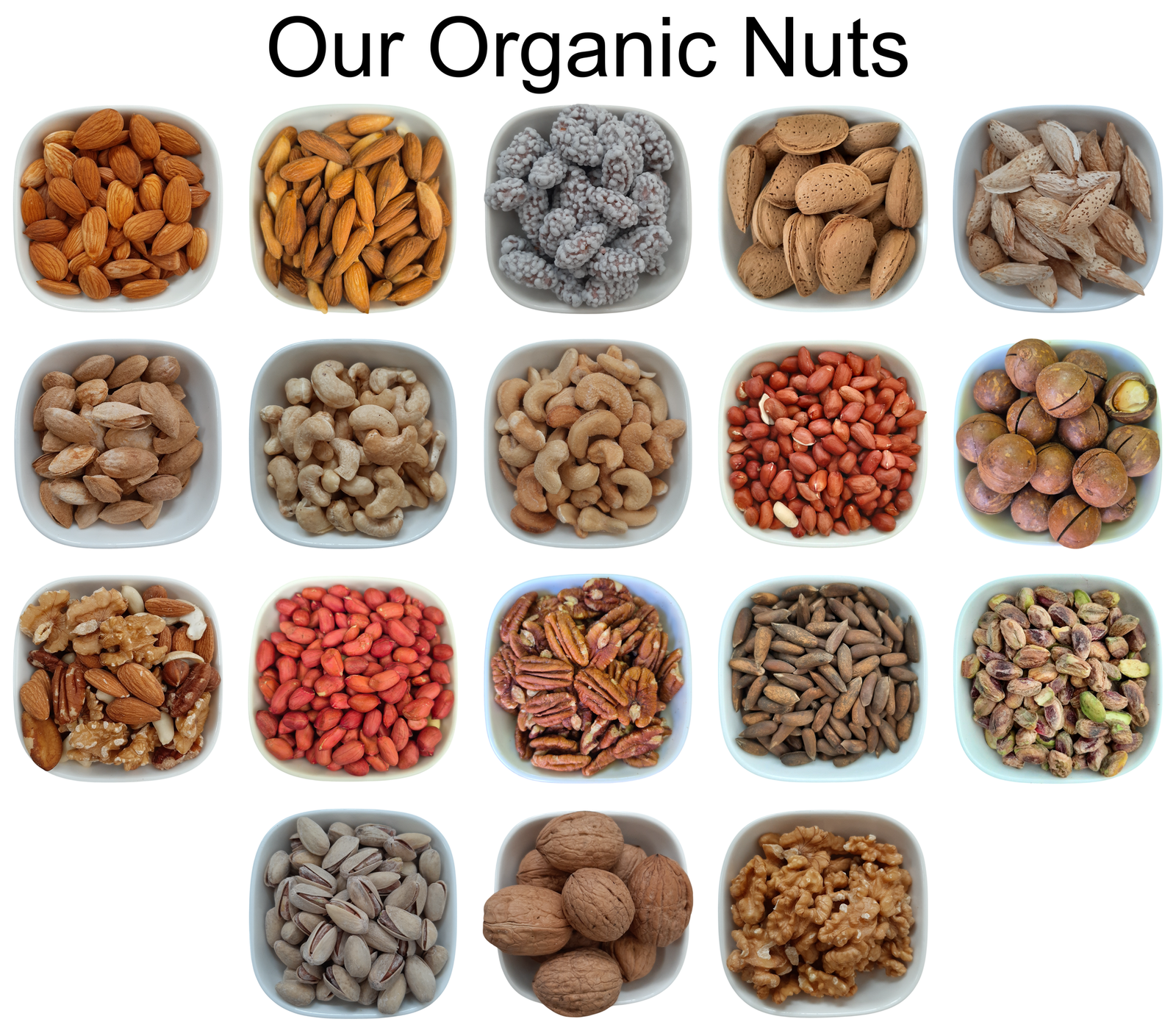 Normal Cashew Nuts – Natural Organic Premium-quality + Free sample! - UBSBOT.eu - Fine things for you