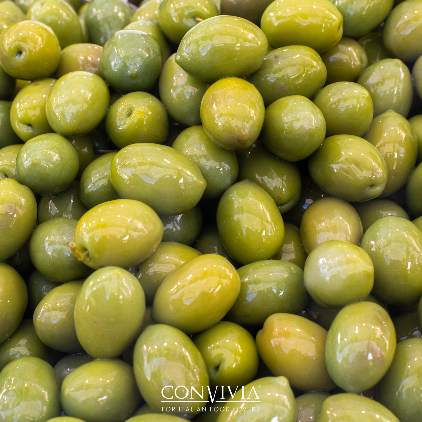 CONVIVIA for italian food lovers - Entkernte Landoliven 280 g - UBSBOT.eu - Fine things for you