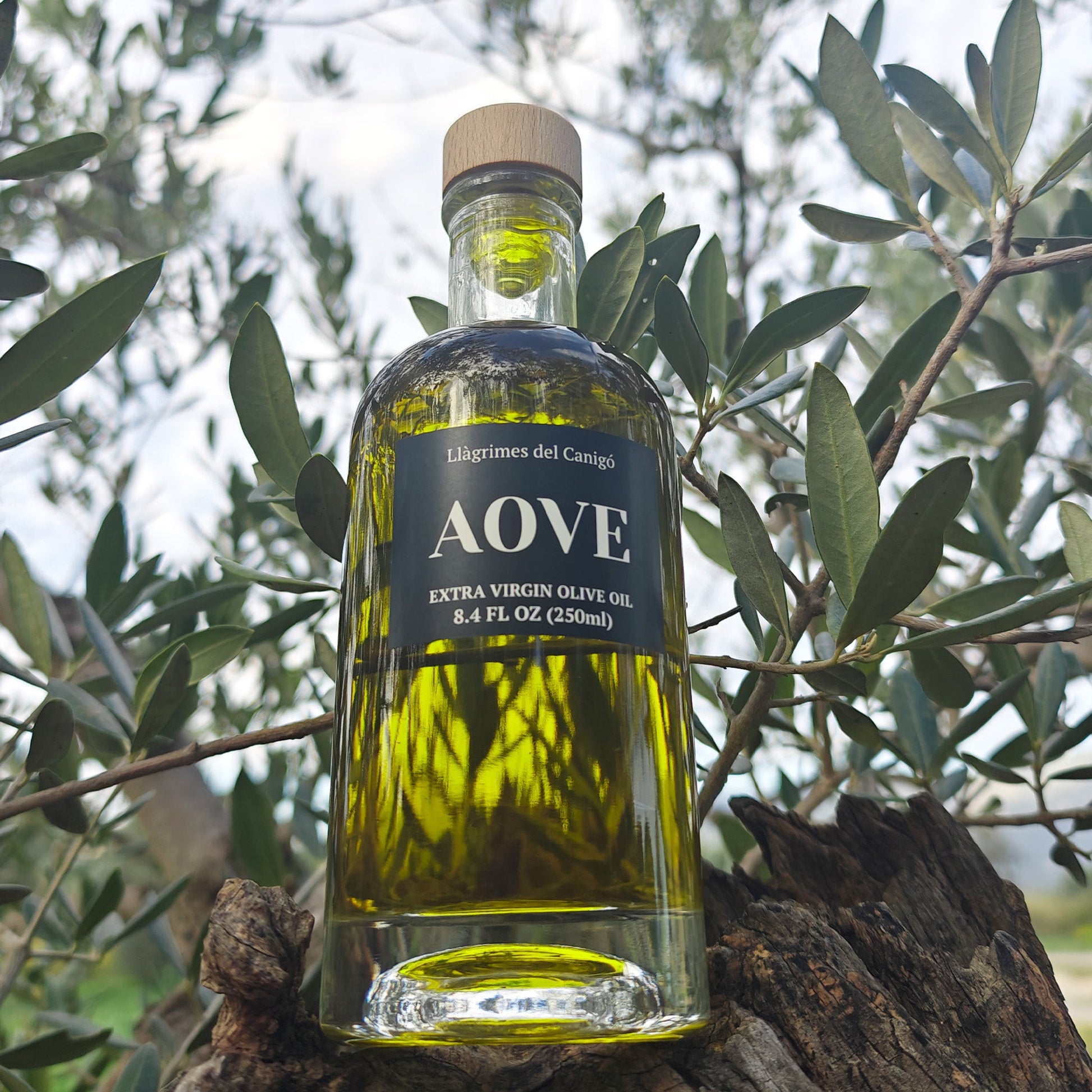 Premium Extra Virgin Olive Oil (EVOO) 250ml – Cold-Pressed Mediterranean Olive Oil from Spain - Llàgrimes del Canigó - UBSBOT.eu - Fine things for you