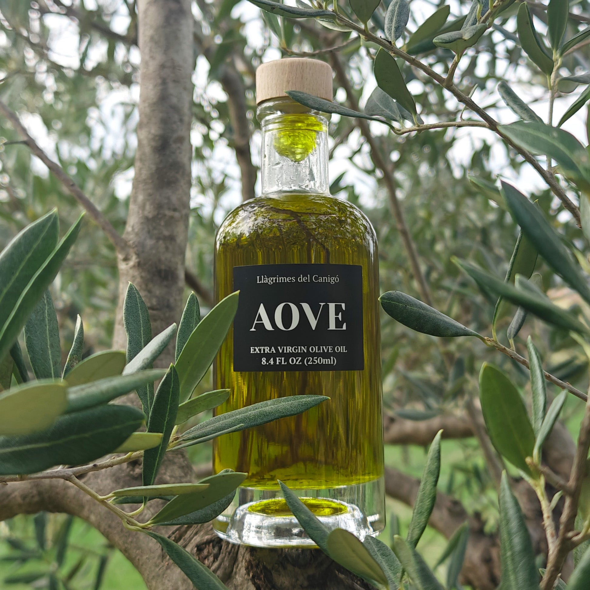 Premium Extra Virgin Olive Oil (EVOO) 250ml – Cold-Pressed Mediterranean Olive Oil from Spain - Llàgrimes del Canigó - UBSBOT.eu - Fine things for you