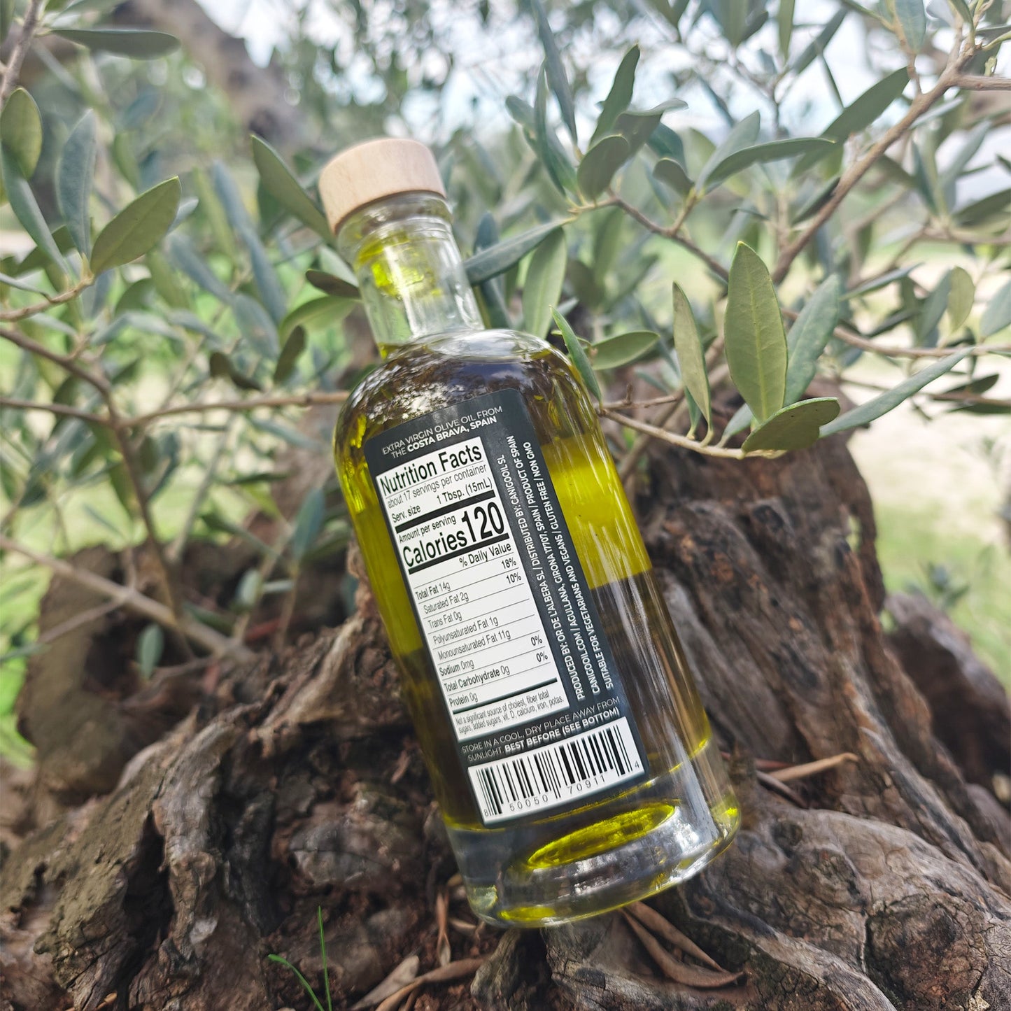 Premium Extra Virgin Olive Oil (EVOO) 250ml – Cold-Pressed Mediterranean Olive Oil from Spain - Llàgrimes del Canigó - UBSBOT.eu - Fine things for you