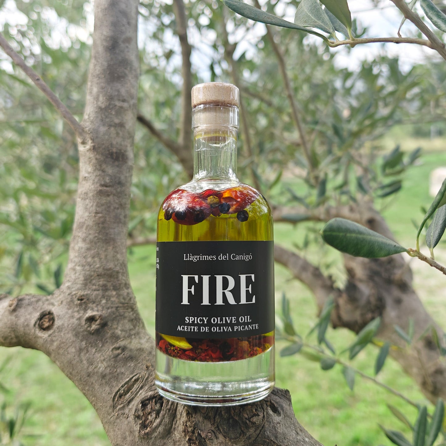 FIRE – Spicy Chili, Garlic & Pepper Infused Extra Virgin Olive Oil – 100ml / 3.38 fl oz – Llàgrimes del Canigó - UBSBOT.eu - Fine things for you