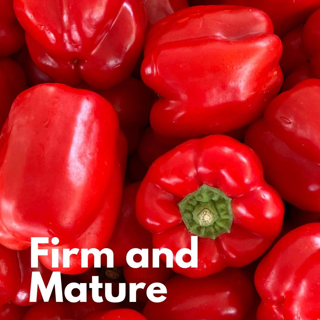 CONVIVIA for italian food lovers - Fertige Kirschtomatensauce mit Bio-Paprika 330 g - UBSBOT.eu - Fine things for you