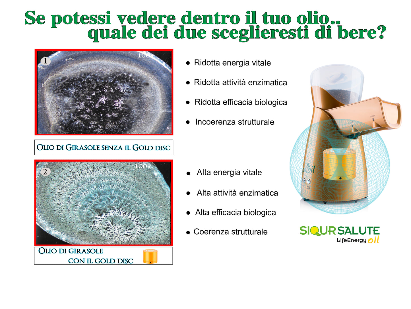 Oil mill LifeEnergy OIL - UBSBOT.eu - Fine things for you